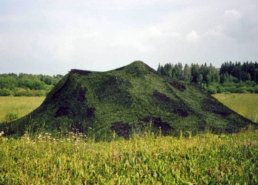 Военные (армейские) маскировочные сети в интернет-магазине в Саратове, купить маскировочную сеть с доставкой картинка 106