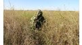 Маскировочный халат Taganrog Кикимора – купить по цене 3550 руб. в интернет-магазине в городе Саратов картинка 13
